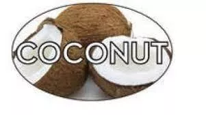 1-1-4-x-2-oval-coconut-bakery-label-roll-500 1 1/4" x 2" Oval Coconut Bakery Label - Roll of 500