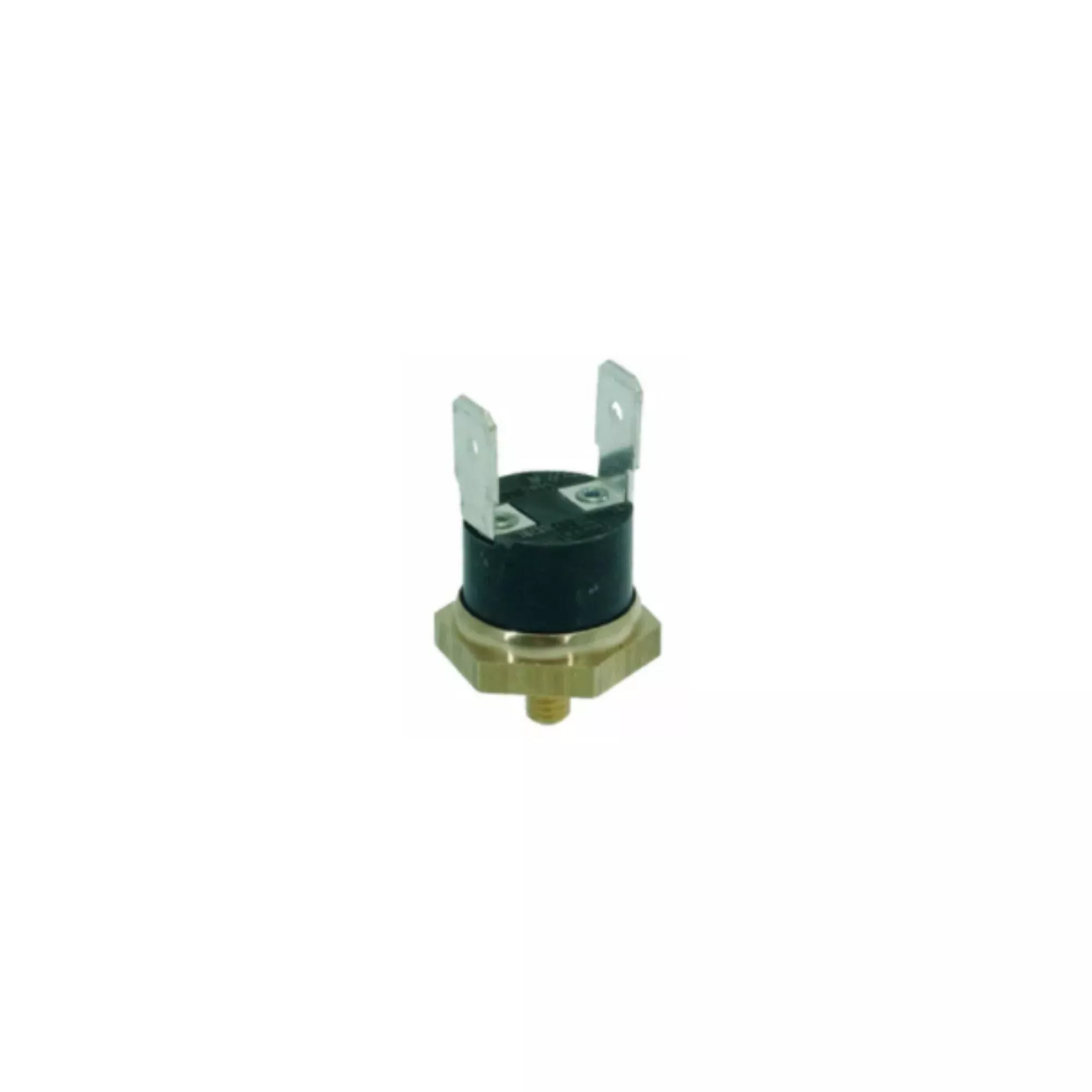 100-c-thermostat-i-374 100°C Thermostat (i..374)