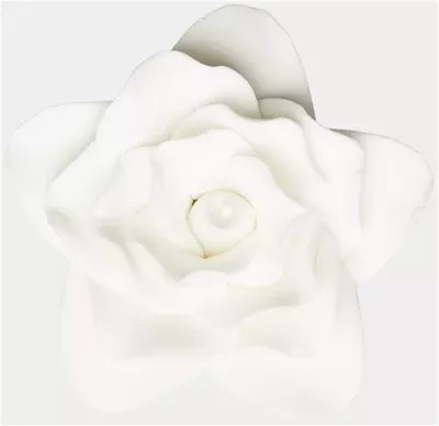 3" Gum Paste White Star Rose