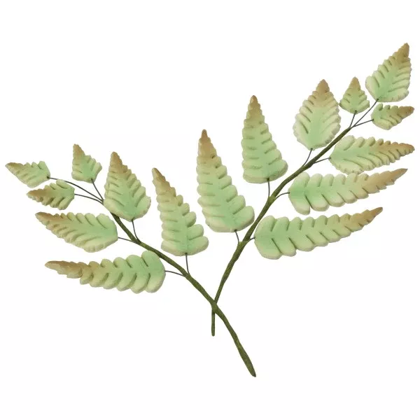 airy-ferns-gum-paste-large-1-count Airy Ferns Gum Paste, Large, 1 Count
