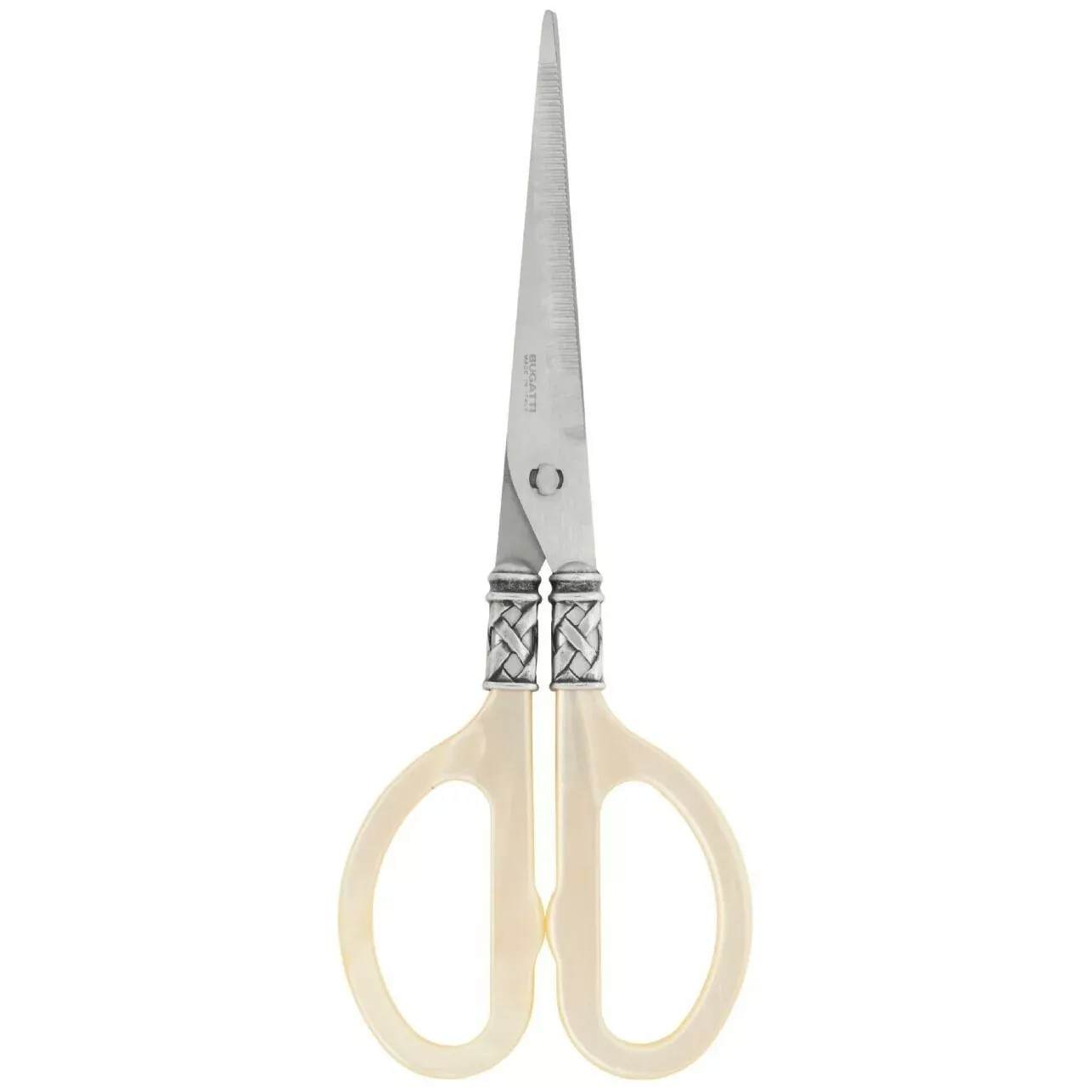 aladdin-antique-kitchen-shears Aladdin Antique Kitchen Shears