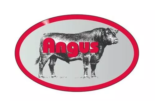 Angus Label 1.25" Oval - Roll of 1000