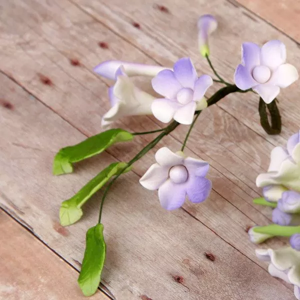 Asian Stephanotis Fillers - Lavender