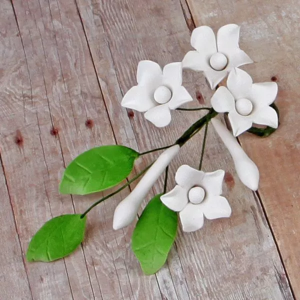 asian-stephanotis-fillers-white Asian Stephanotis Fillers - White