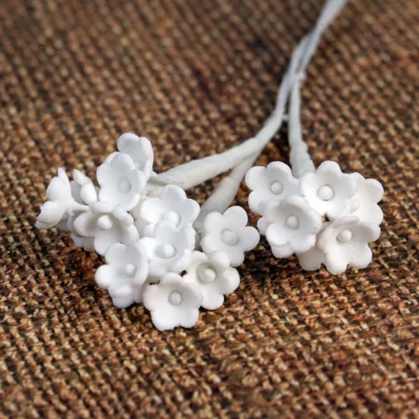 Baby's Breath - Small Pack