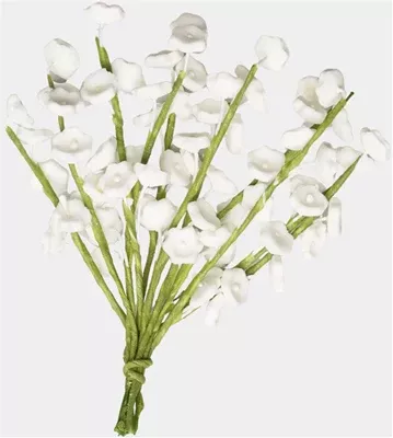 baby-s-breath-sugar-flowers Baby's Breath Sugar Flowers