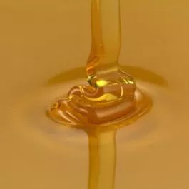 bakers-special-honey-1-lb Bakers Special Honey 1 LB