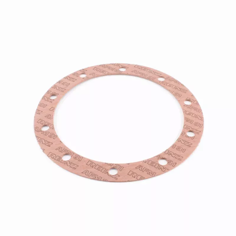 Boiler Flange Gasket