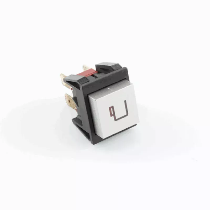 Brew Switch, Square DPST Silver Push-Latch 120V