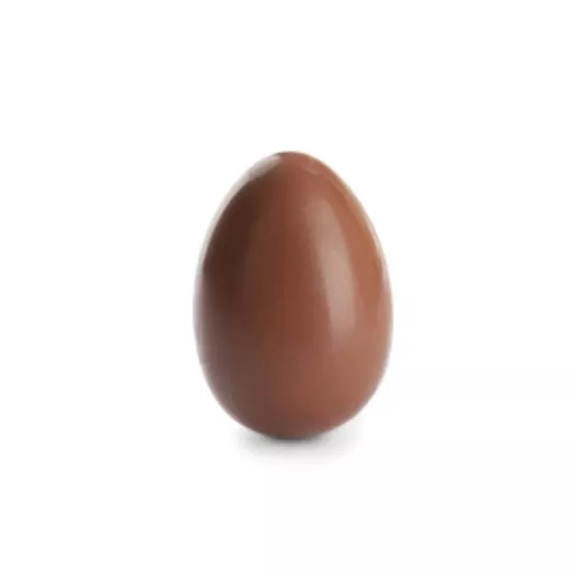 Cacao Barry - 22 cm Smooth Egg Tritan Chocolate Mold (1 cavity)