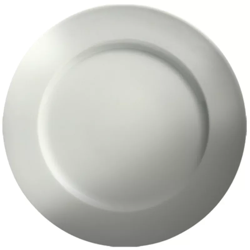 Cameo Dynasty Rim Plate 12″ (12-pack)