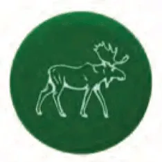 Capabunga Wine Cap: Moose