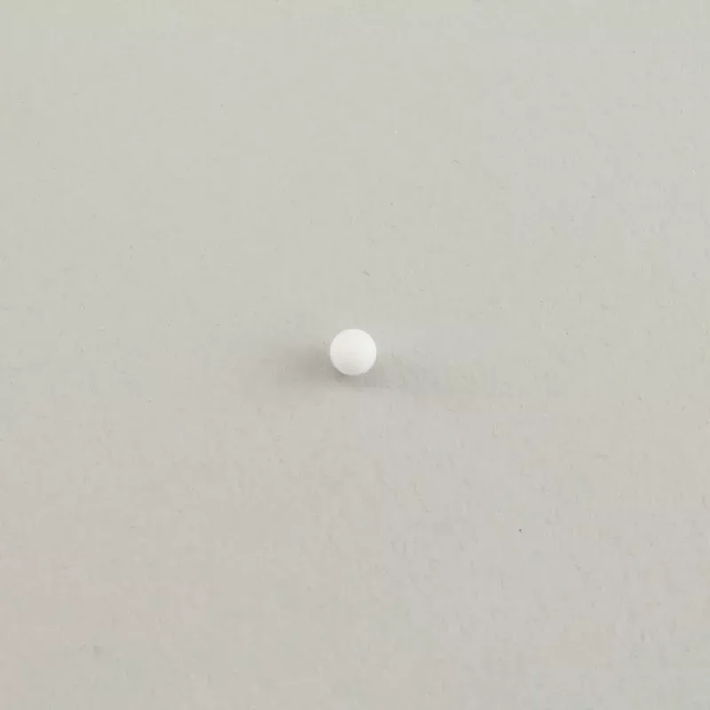 Check Valve Ball