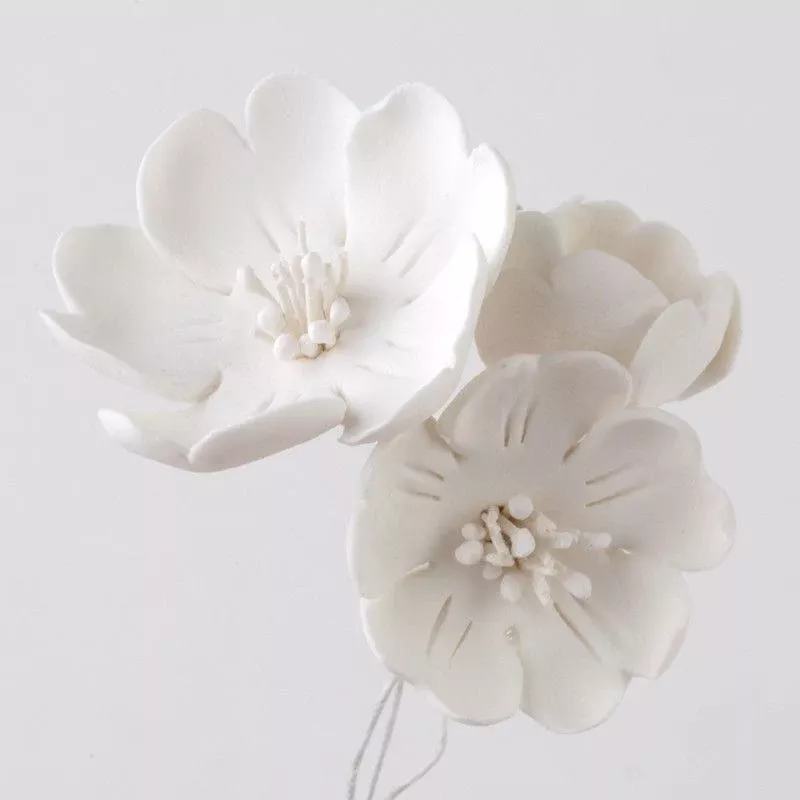 cherry-blossoms-white Cherry Blossoms - White
