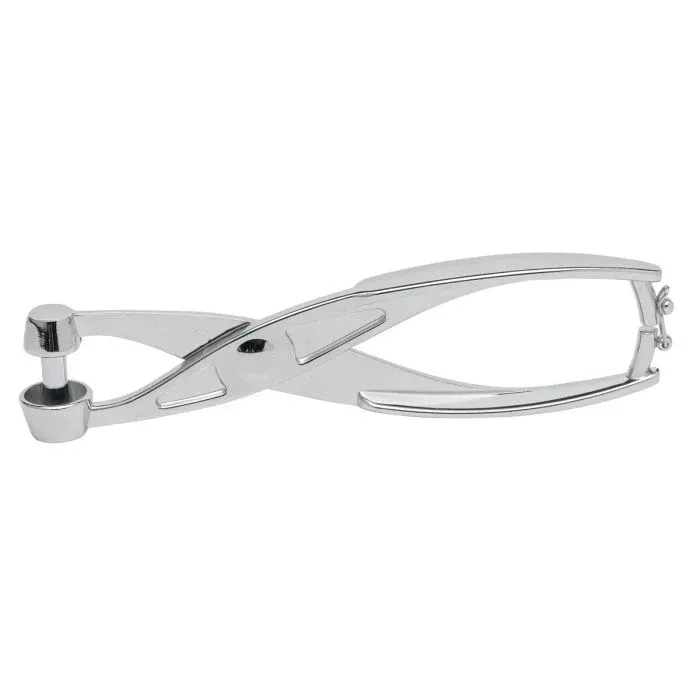 cherry-pitter-ss CHERRY PITTER SS