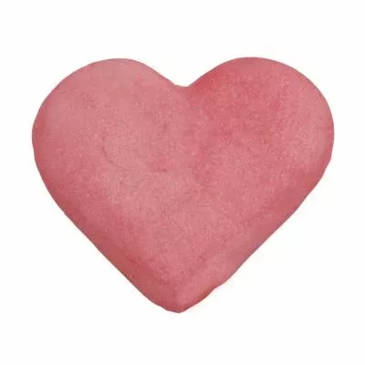 ck-luster-dust-pink-hibiscus CK Luster Dust - Pink Hibiscus