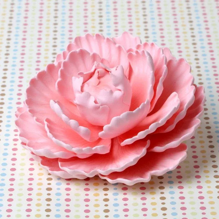 closed-peonies-pink Closed Peonies - Pink