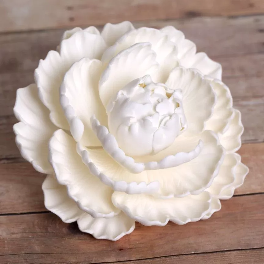 closed-peonies-white Closed Peonies - White