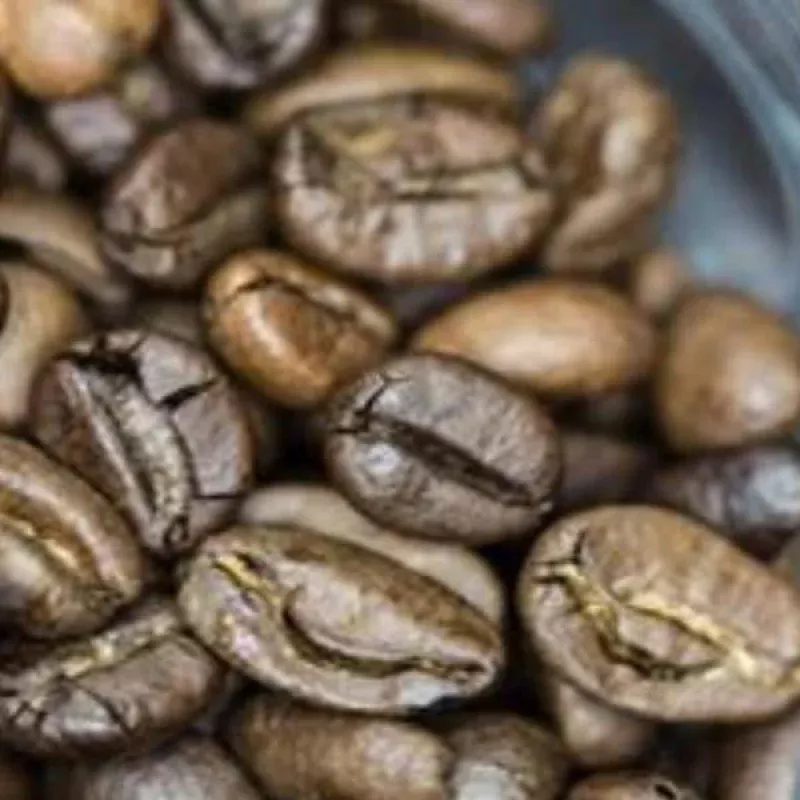Colombian Decaf – 1 lb (16 oz)