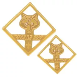 cub-scouts-fondant-cookie-cutter Cub Scouts Fondant Cookie Cutter