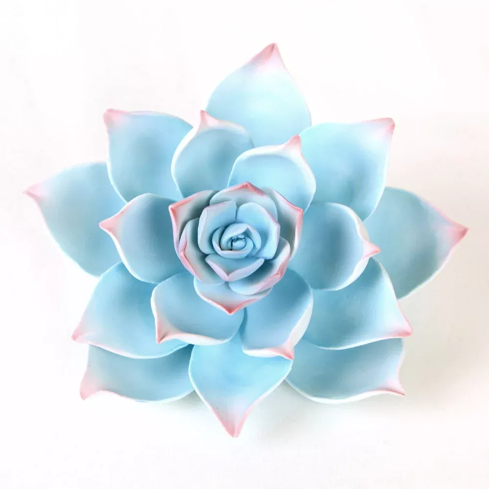 desert-succulent-blue Desert Succulent - Blue