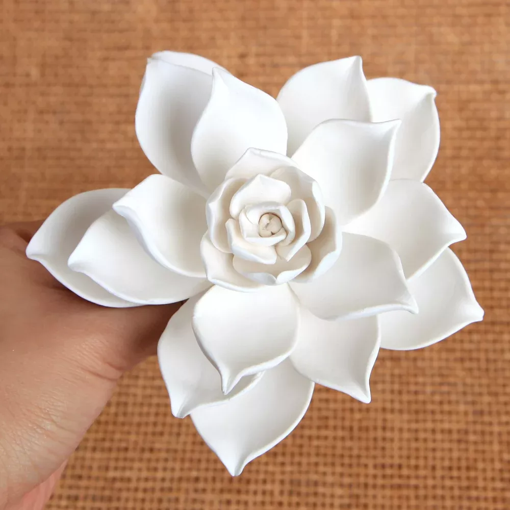 desert-succulent-white Desert Succulent - White