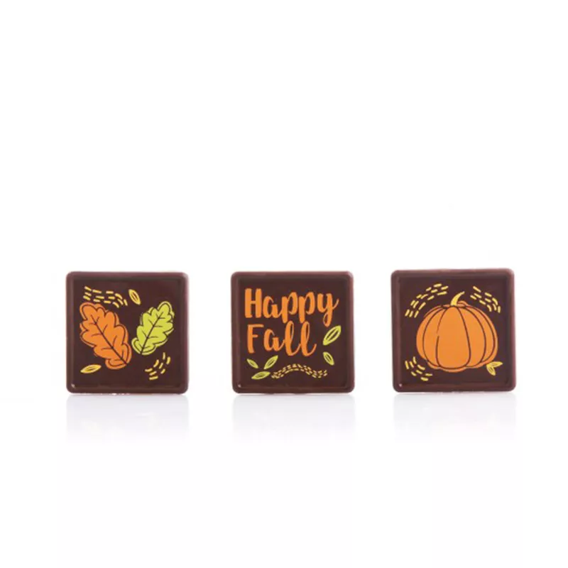 dobla-dark-chocolate-fall-leaves-assortment-168-ct Dobla - Dark Chocolate Fall Leaves Assortment (168 ct)