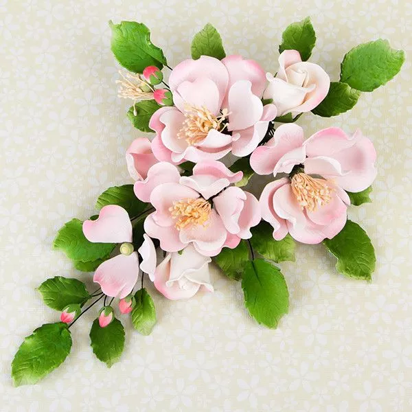 Dog Rose Combo Sprays