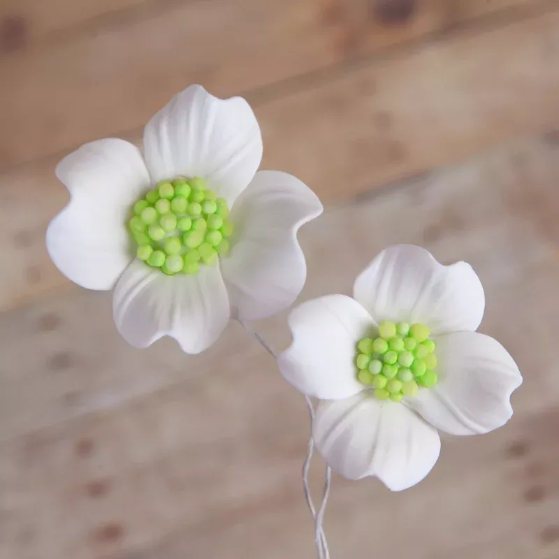 dogwoods Dogwoods