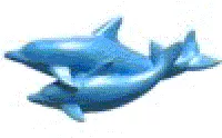 dolphin-pair-2-by-first-impressions-molds-sc103 Dolphin Pair 2 by First Impressions Molds(SC103)