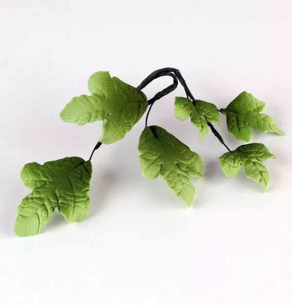 English Ivy Leaf Filler