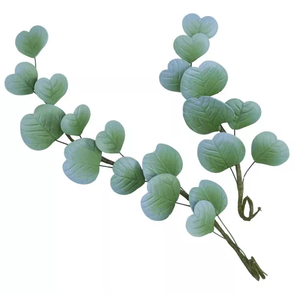 eucalyptus-gum-paste-leaves-small-1-piece Eucalyptus Gum Paste Leaves, Small, 1 Piece