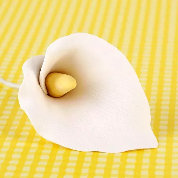 extra-large-calla-lilies-white Extra Large Calla Lilies - White