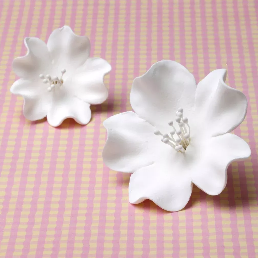 Extra Large Cherry Blossoms