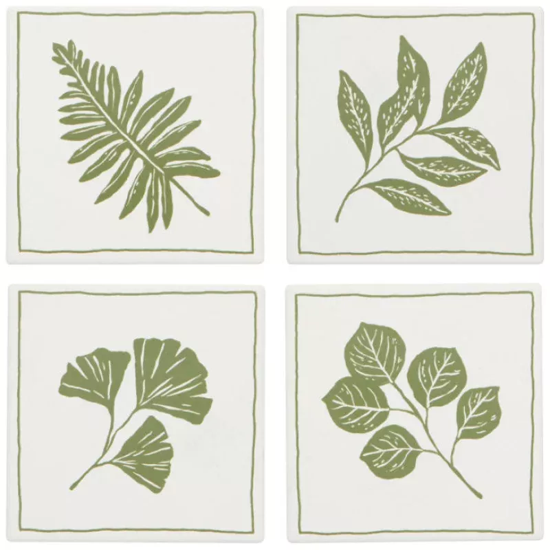 fern-frond-soak-up-coasters-4-set Fern & Frond Soak Up Coasters 4/Set