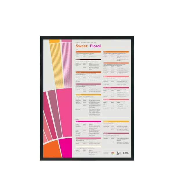 flavor-perception-in-coffee-poster-sweet-floral-sca Flavor Perception in Coffee Poster - Sweet Floral - SCA