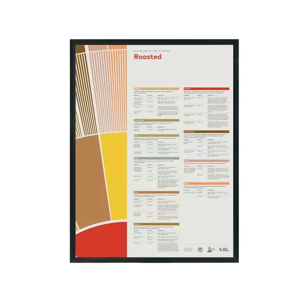 flavor-perception-in-coffee-roasted-sca Flavor Perception in Coffee – Roasted - SCA