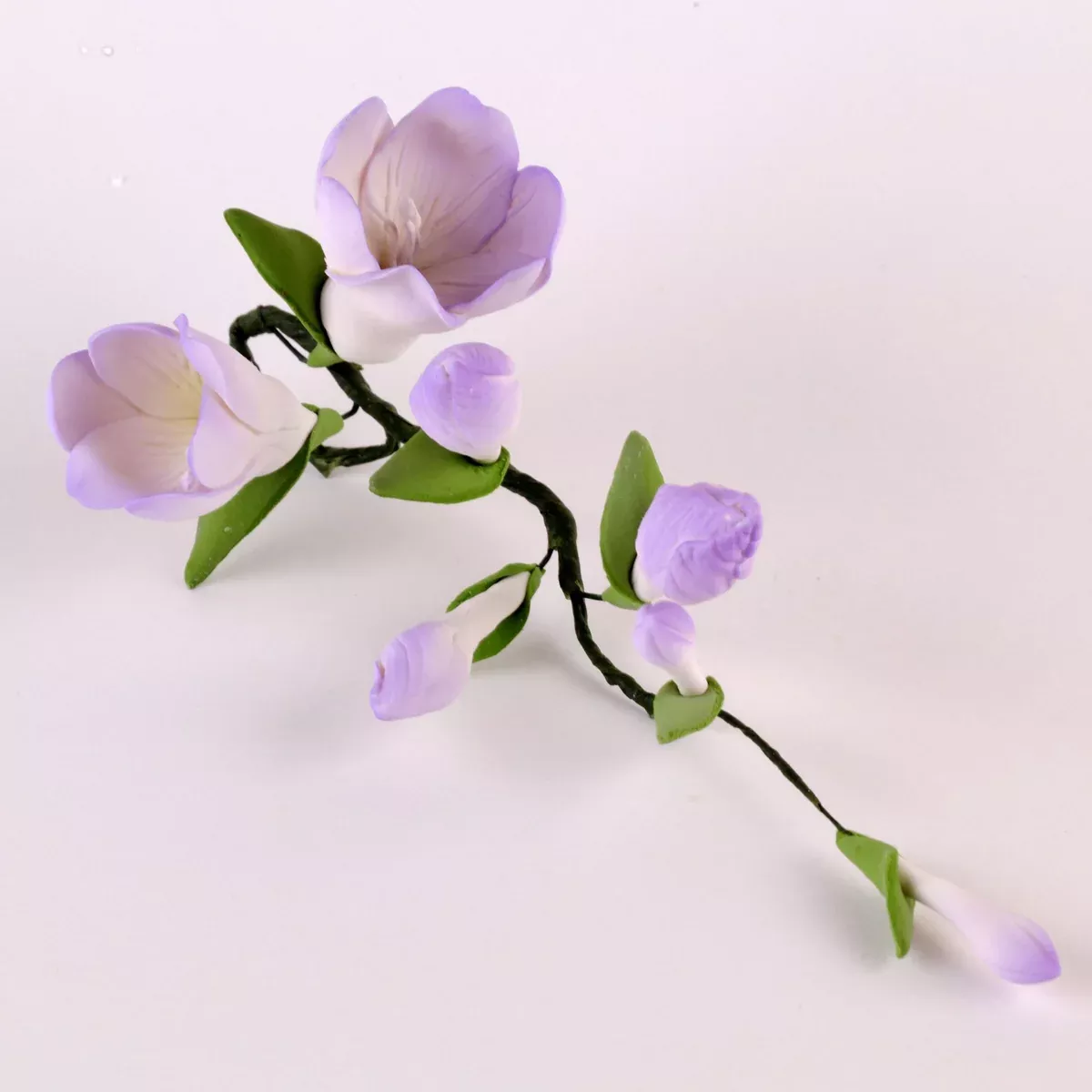 Freesia Fillers - Lavender