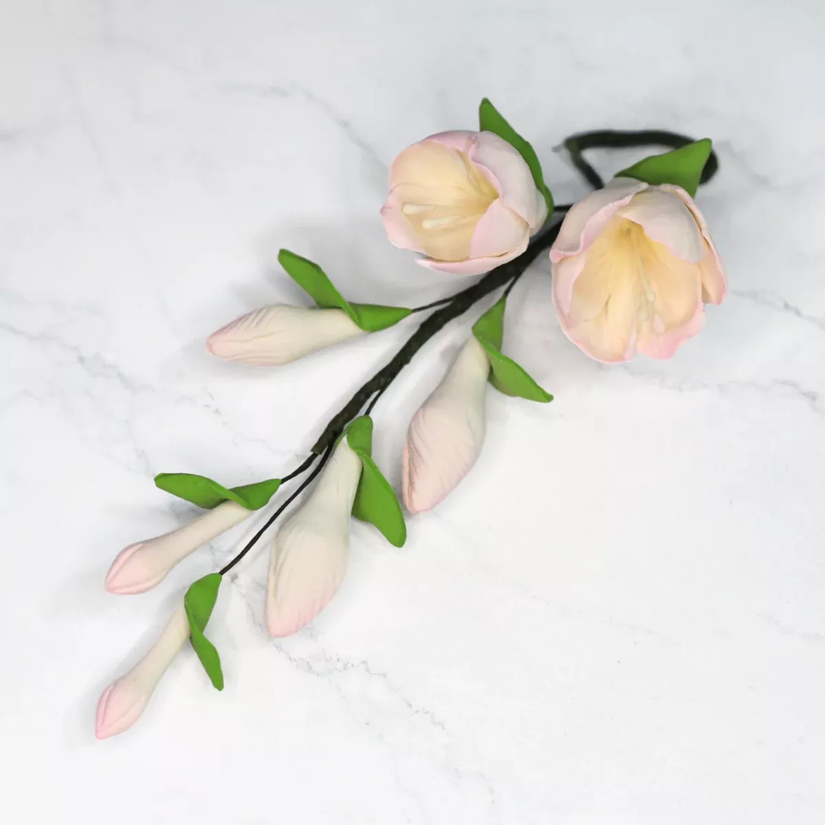 freesia-fillers-pink Freesia Fillers - Pink