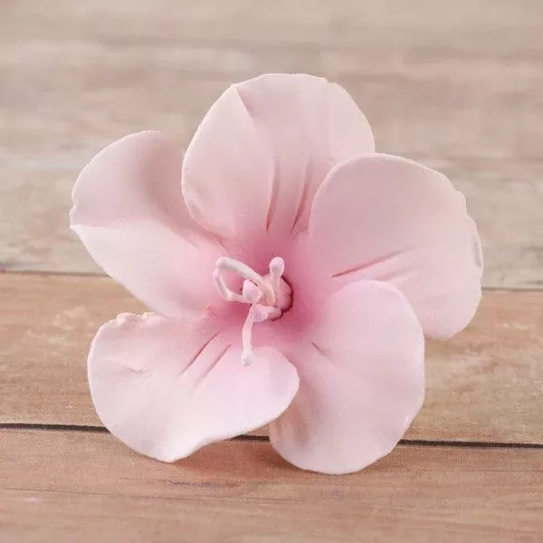 fruit-blossoms-pink Fruit Blossoms - Pink