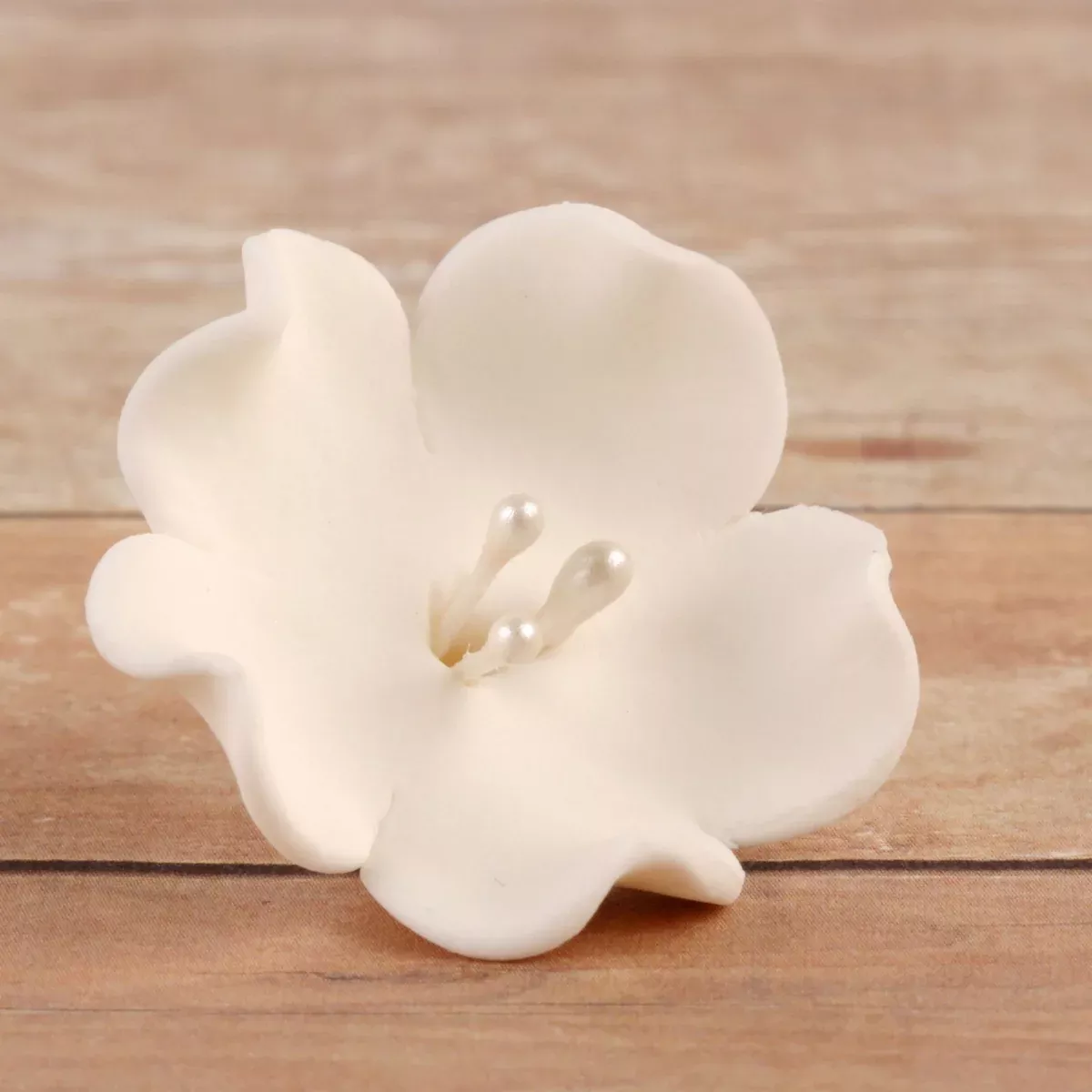 fruit-blossoms-white Fruit Blossoms - White