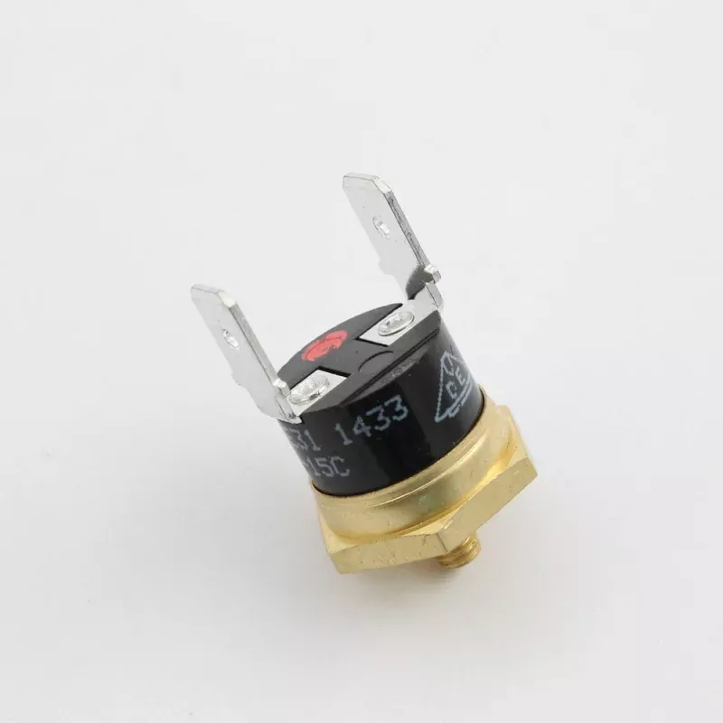 Gaggia Steam Thermostat