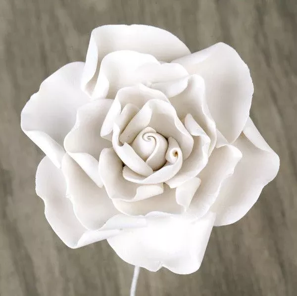 gardenias-white Gardenias - White