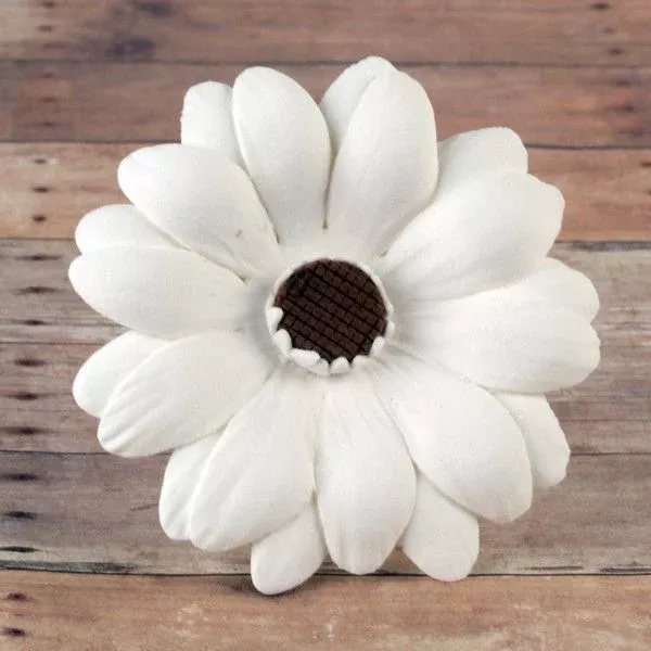 gerbera-daisies-white Gerbera Daisies - White