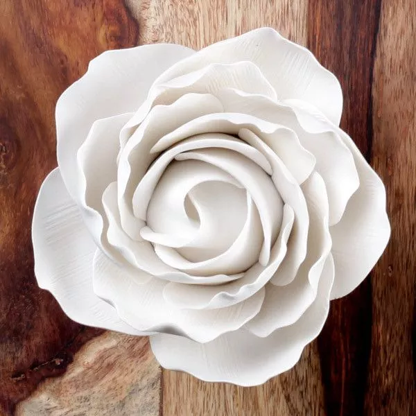 giant-peace-rose-white Giant Peace Rose - White