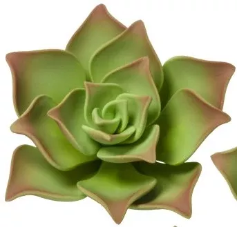 green-succulent-gum-paste-flower-large Green Succulent Gum Paste Flower, Large