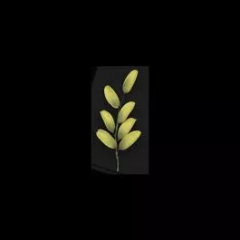 gumpaste-8-inch-lily-leaf-spray Gumpaste 8 inch Lily Leaf Spray