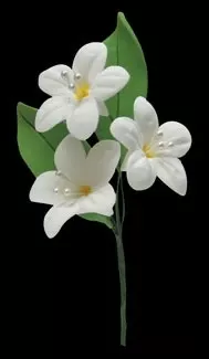 gumpaste-flower-filler-spray-yellow-w-pearls Gumpaste Flower Filler Spray - Yellow w/ pearls