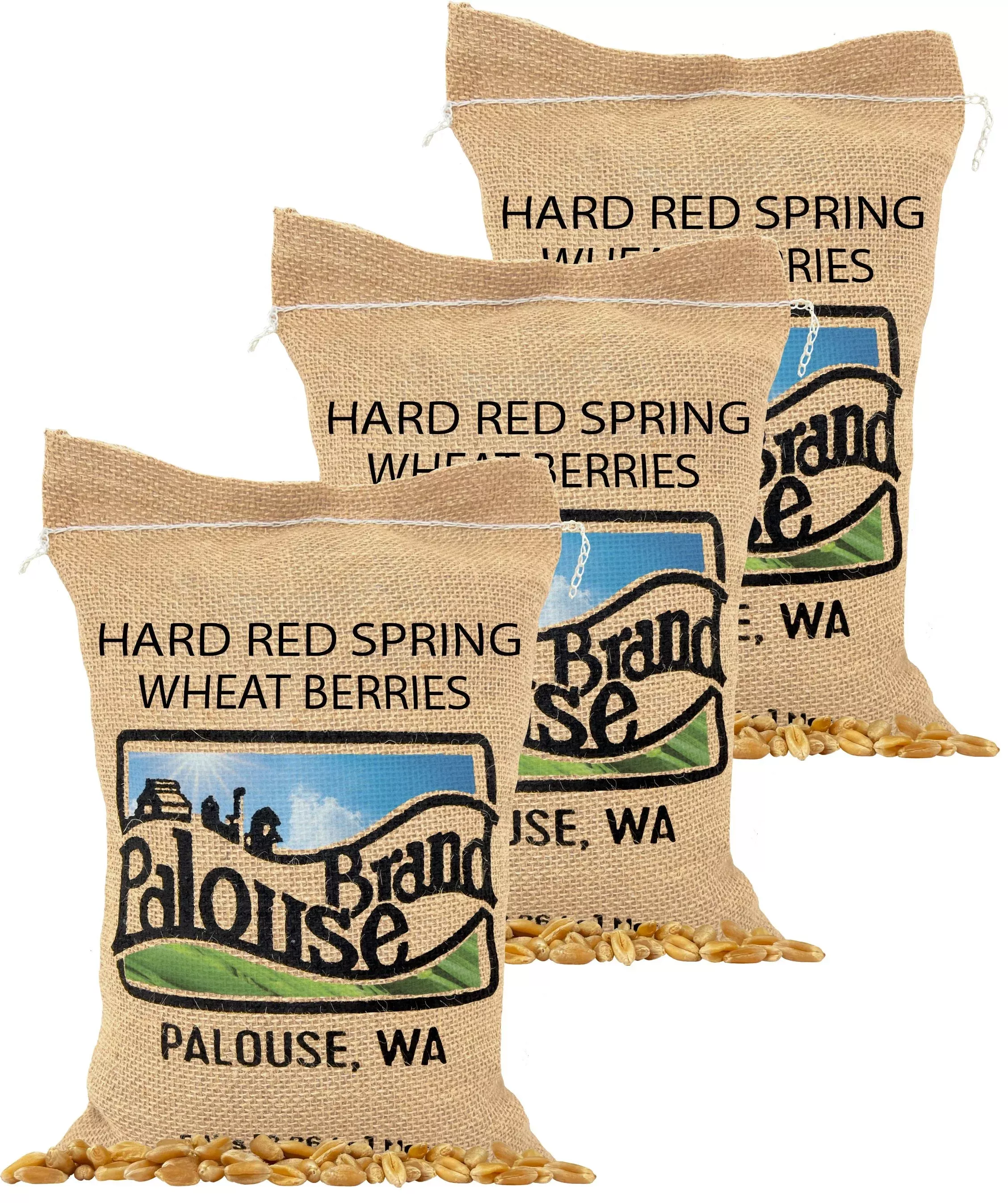 Hard Red Spring Wheat Berries - Value Pack - 15 lb