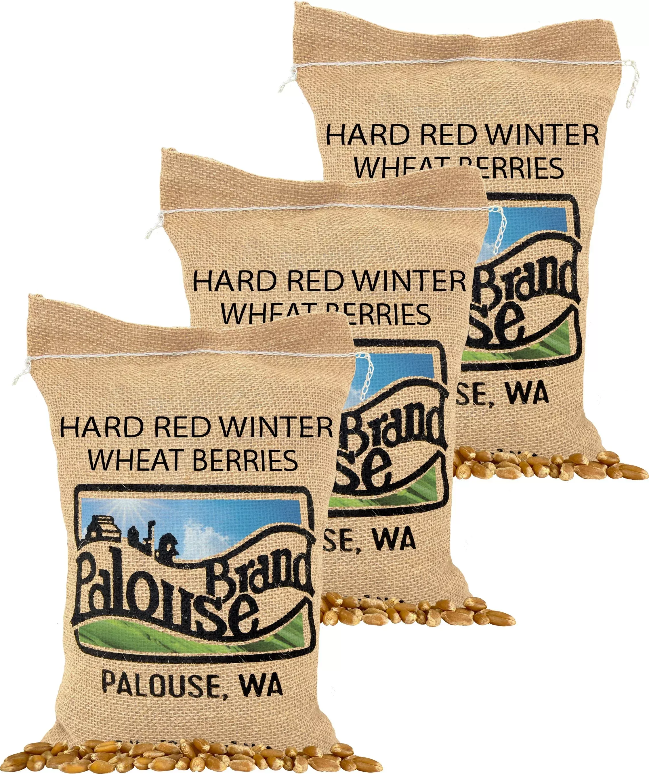 Hard Red Winter Wheat Berries - Value Pack - 15 lb